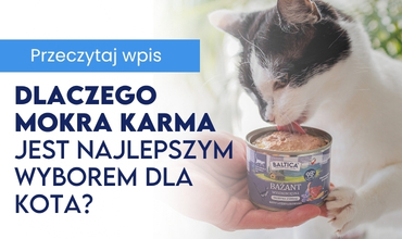 Naturalny duet dla zdrowia i odporności - Blog Baltica